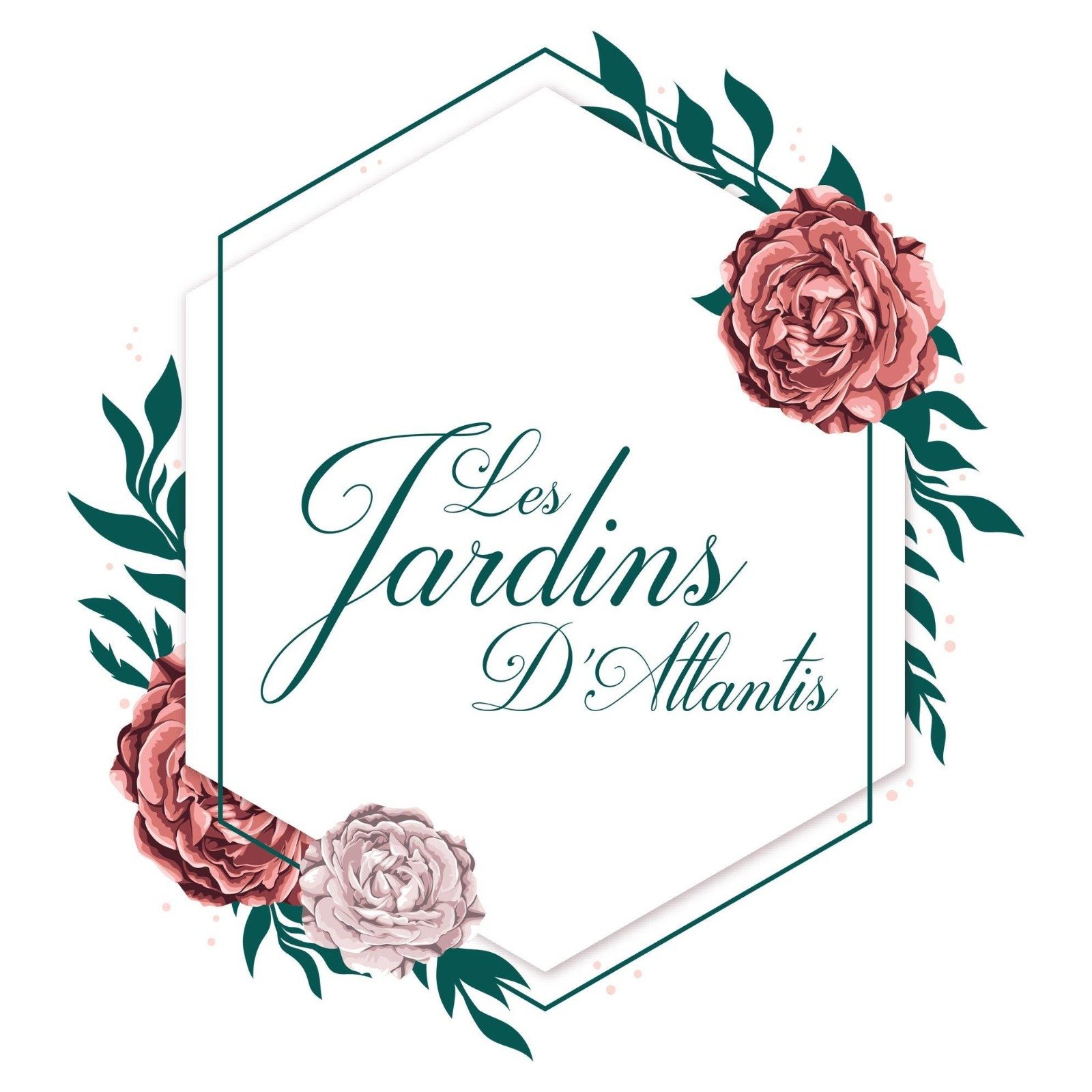 WhatsApp Image 2025-07-25 at 5.56.07 PM